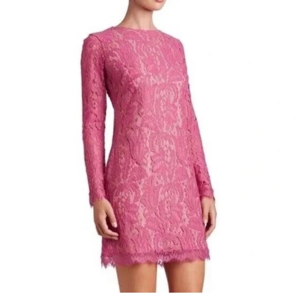 Dress the Population Dresses & Skirts - Dress The Population Cambria pink lace nude lining sheer long sleeve mini dress